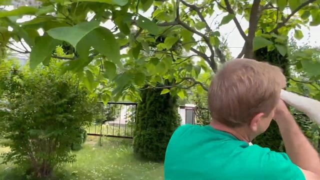 Как ей идут цветы! Царевна Лебедь и Олег Зубков. Экскурсия по саду. Тайган смотреть онлайн