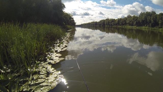 Рыбалка на р.Дон с GoPro смотреть онлайн