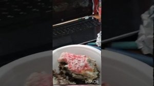 моё питание сегодня