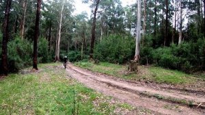Apollo Bay Australia Bike