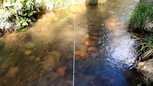 Motorbike fishing: Rainbow trout fishing in a mountain stream смотреть онлайн