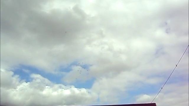 Бойные Голуби Германии смотреть онлайн