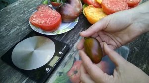 Лучший черри сезона  Атомный виноград Бреда