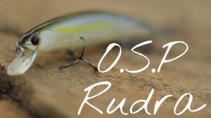 O.S.P RUDRA! Всё о легендарном воблере на щуку