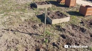 Наши 8,4 сотки🏡пересаживаю растюхи🌱те,что перезимовали и дали побеги.Посеяла зеленушку 🌱