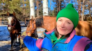 УЕЗЖАЮ ИЗ ЛЕСА И ДЕРЕВНИ. Что будет теперь расти на участке в огороде. Апартаменты для несушки