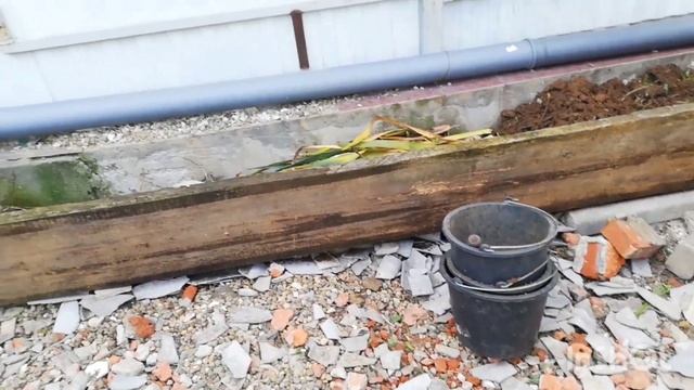 ЦВЕТНИК НА ПАРКОВКЕ 1 СЕРИЯ смотреть онлайн