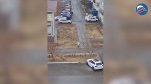 Мощный ураган в Сибири: разрушения, пожары и последствия сильного ветра