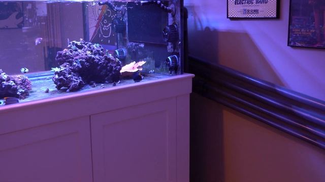 Tank Hits 85, How I Beat the Heat смотреть онлайн