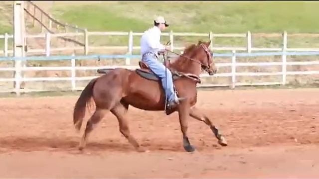 Lote 14 Loreal Beaver 3D смотреть онлайн