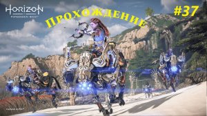 Прохождение игры Horizon Forbidden West Complete Edition. Прохождение #37.