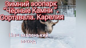 Зимний зоопарк "Чёрные Камни ". Сортавала. Карелия.
