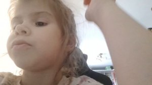 Мои любимые домашние животные.