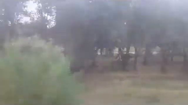 СЕМЕЙ-VLOG/#1/Поезд! смотреть онлайн