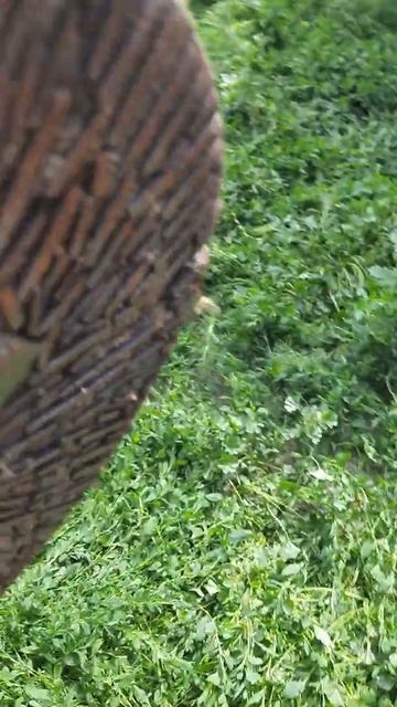 Жернова. Мельница ручная старинная. смотреть онлайн