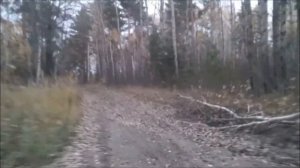 Дорога из Нового Чирково в Старое.