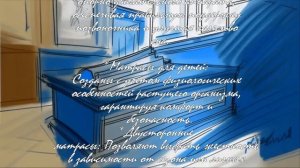 Матрас от Аскона: Обзор и отзывы пользователей  .