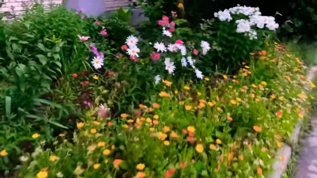 Вот такой прекрасный вечер подкрался незаметно и прекрасный закат солнца смотреть онлайн