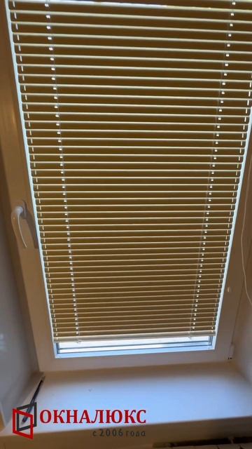 Установили на пластиковые окна горизонтальные жалюзи цвета капучино. Компания Окналюкс Севастополь смотреть онлайн