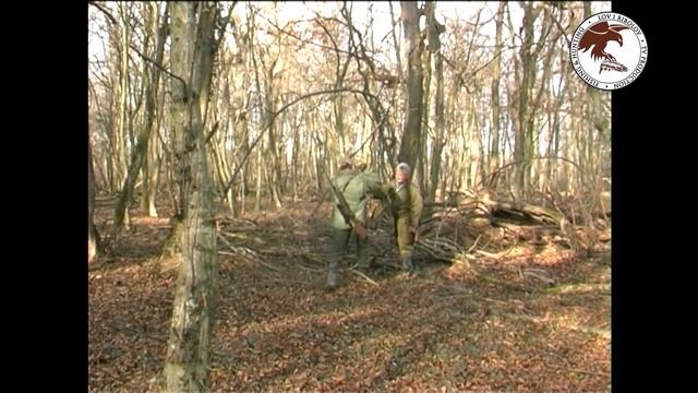 Hunting Serbia - Wild boar 1 | Lov na divlje svinje