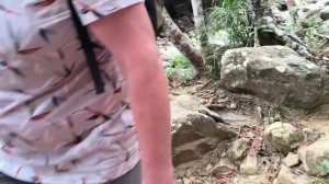 Ко Чанг.Дорога к водопаду .Таиланд.Март 2025