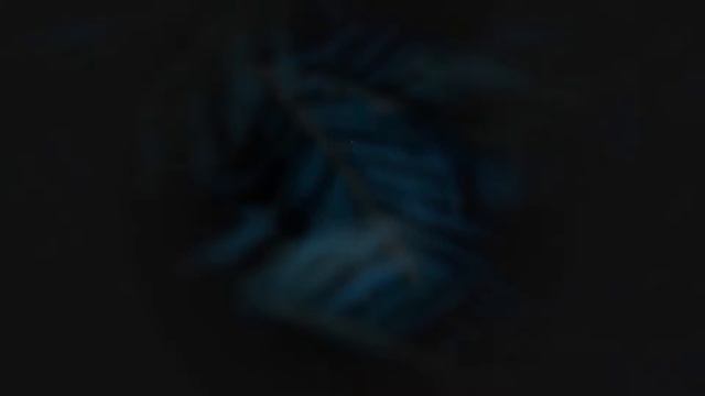 3D Social Media Logo Icons ★ DaVinci Resolve Templates ★ смотреть онлайн