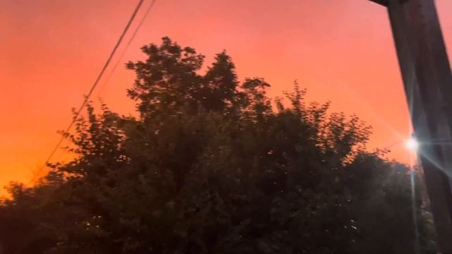 ПРАЗДНУЕМ ДЕНЬ РОССИИ У СЕРЁЖИ С ВИКОЙ В ГОСТЯХ 