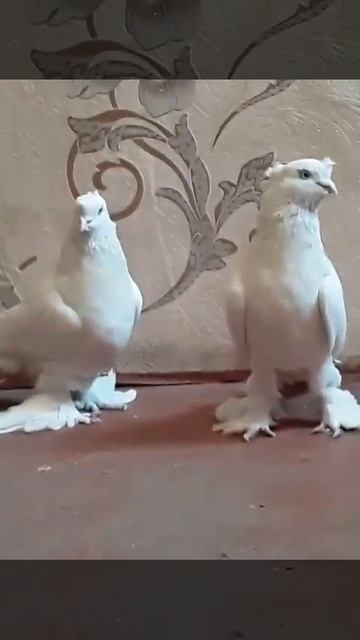 27 февраля 2023 г. смотреть онлайн