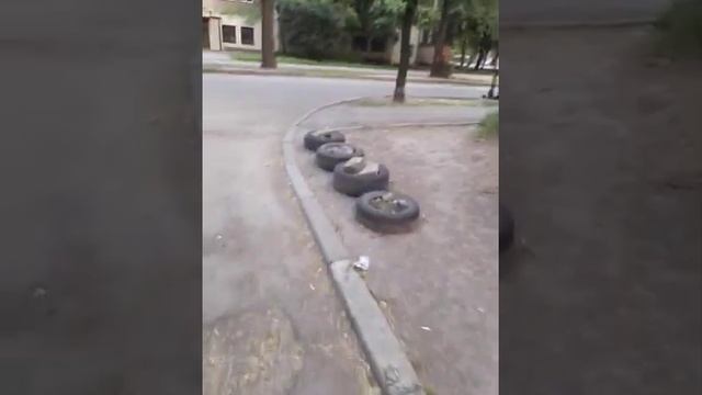 Влог БАБОЧКА ПОЗИРУЕТ ЦВЕТЫ ЛИПА ХЛОПОК НАПОМИНАЕТ смотреть онлайн