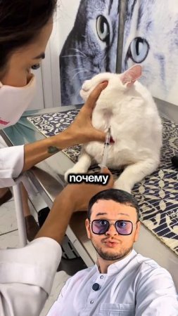 Забор крови через яремную вену
