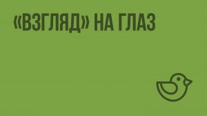 «Взгляд» на глаз. Видеоурок по окружающему миру 4  класс