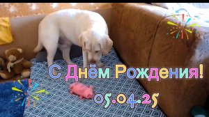 С Днём Рождения! 05.04.25