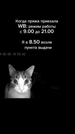 Ждемс
