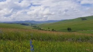 Это было недавно, Это было давно...Алтай. Поездка на Уик-Энд. Остановка на перевальчике.