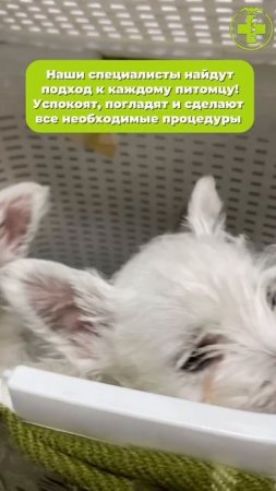 Заслуживают лайк