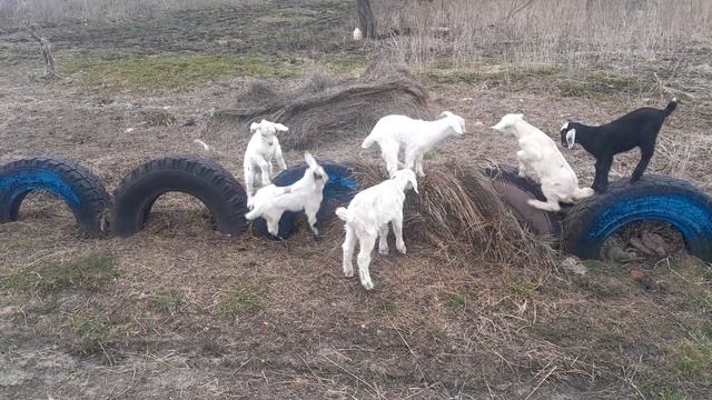 20250405_134808 смотреть онлайн