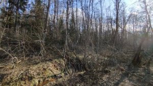 д.Жабицы, Новгородский район. Участок 235