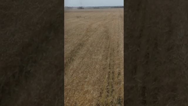 Клаасс тукано 580 смотреть онлайн