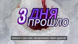 Лечебный свекольный квас. Полезный напиток.Рецепт приготовления.