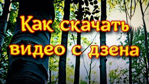 Как скачать видео с дзена