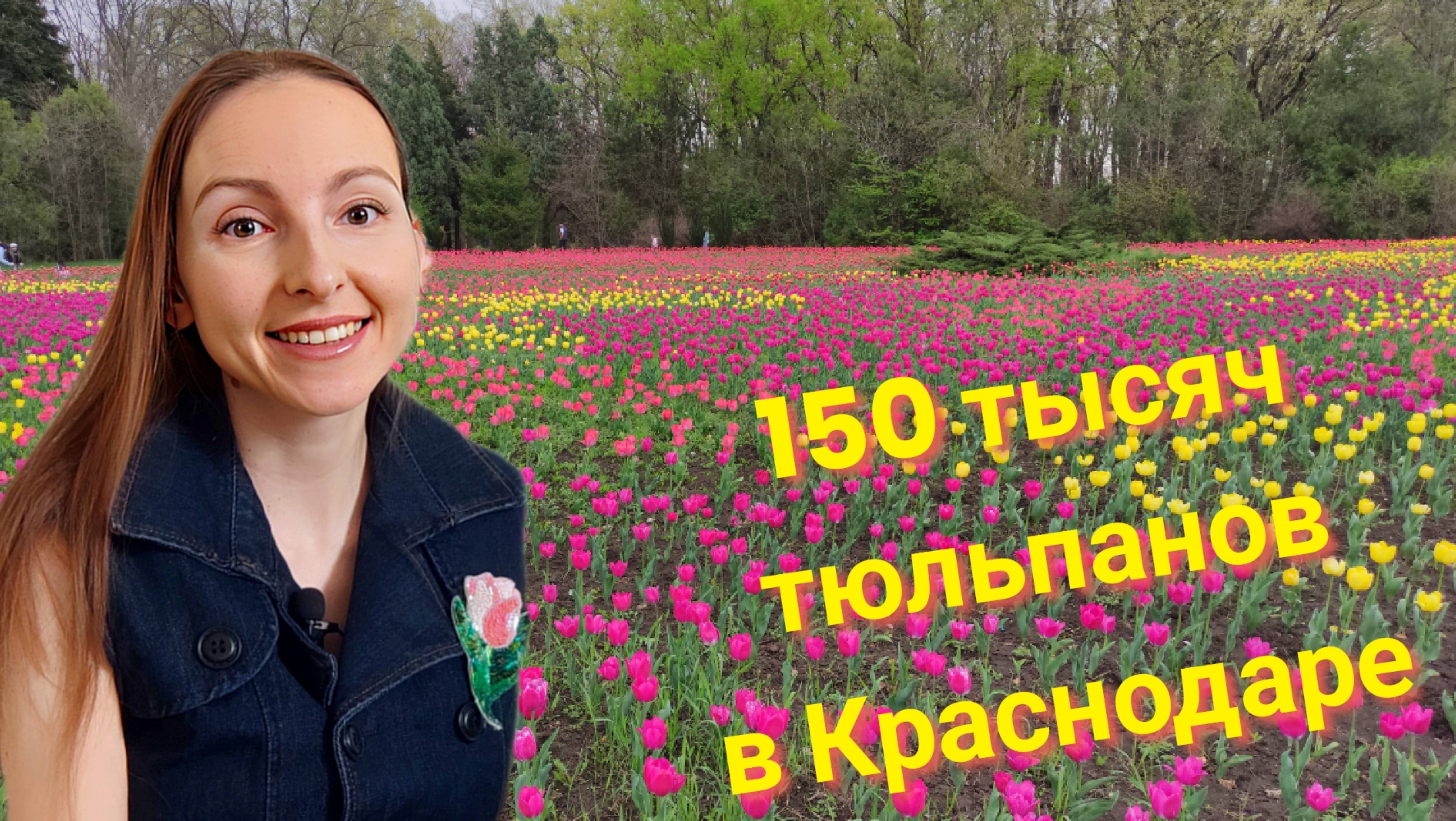 150 ТЫСЯЧ ТЮЛЬПАНОВ ЗАЦВЕЛИ В БОТАНИЧЕСКОМ САДУ КРАСНОДАРА