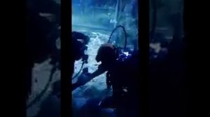 Эксклюзивное предложение руки и сердца только у нас
