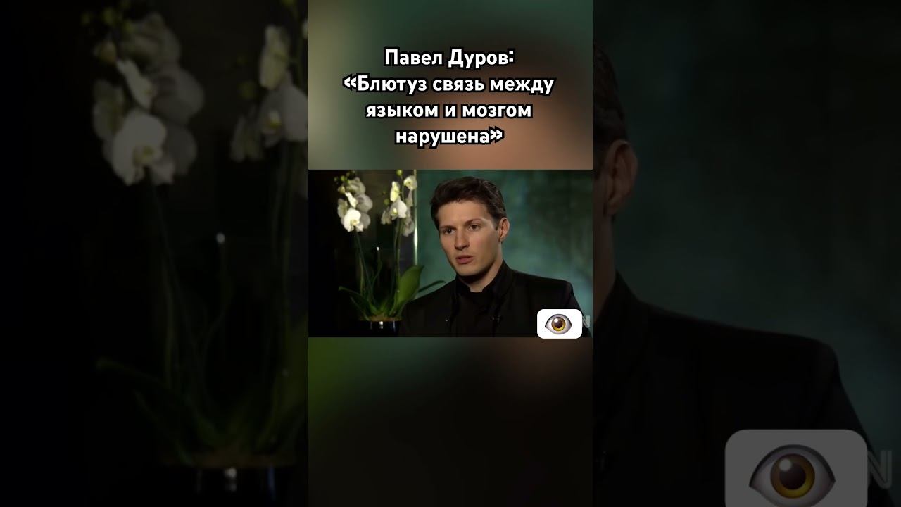 Павел Дуров культурно заткнул ведущую #павелдуров #дуров #озвучка #знаменитости