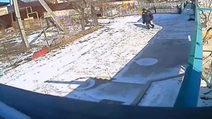 пситеррор.идет с оборудованием.