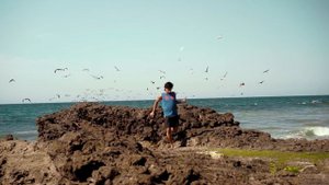 8906132-hd_1920_1080_24fps