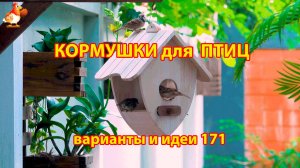 Кормушка для птиц своими руками как сделать пошагово  (171) 🪚🪛🔨 Идеи для дачи и сада❣️
