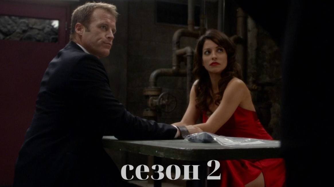 Сериал Живая мишень / Human Target Сезон 2 серия 1