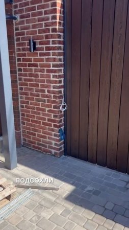 Приютили собачку…,исправляем,пёс не виноват #shorts #baustelle #стройка #russlanddeutsche #diy