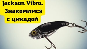 НЕОБЫЧНАЯ ПРИМАНКА на ОКУНЯ. Цикада Jaxon Vibro
