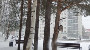 Наш маленький парк.  Исполнитель  Илья Яббаров - Танцуют все. Улетели журавли а ты прости...